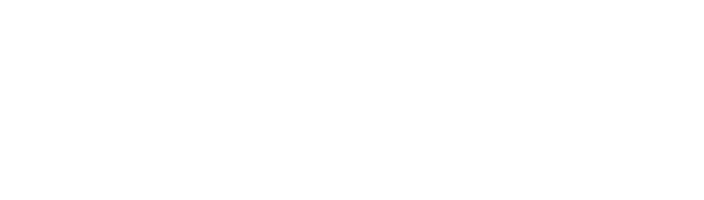 FISYN